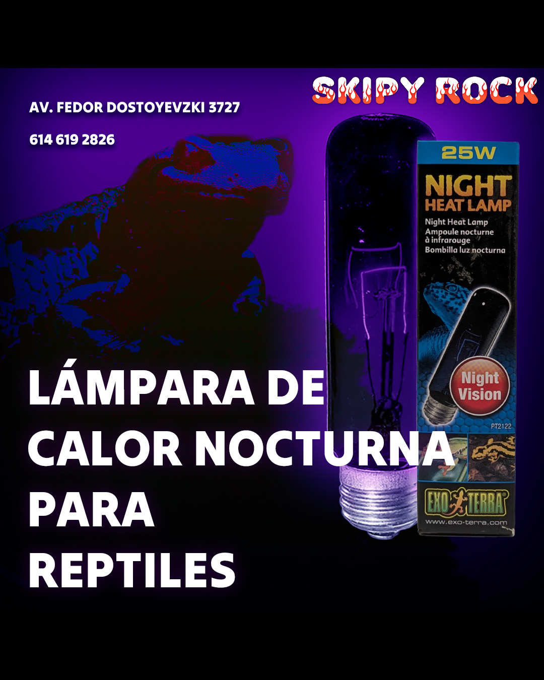 Diseño de redes sociales epoca navideña